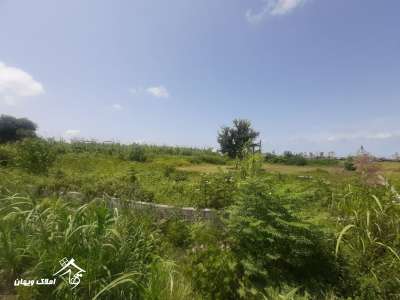 فروش زمین 3550 متری در سرخرود 