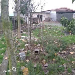 خرید زمین 300 متری در محمود آباد 