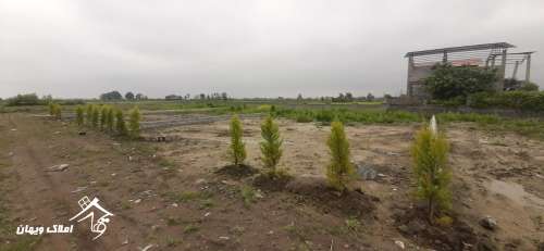 خرید زمین 330 متری در محمود آباد