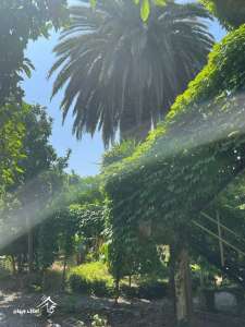 خرید ویلا باغ 800 متری در محمود آباد 
