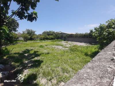 خرید زمین 325 متری در محمود آباد 