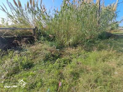 خرید زمین 15500 متری در محمودآباد
