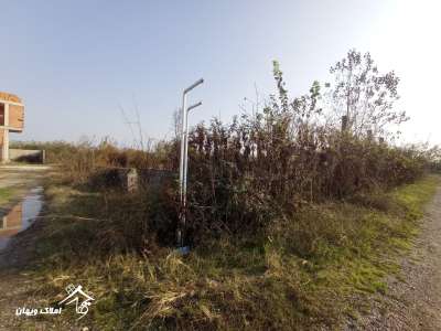 خرید زمین مسکونی 265 متری در محمودآباد