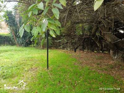 خرید ویلا 300 متری 4 خوابه در محمودآباد خرید ویلا 300 متری 4 خوابه در محمودآباد