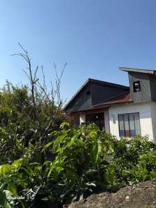 خرید ویلا باغ 120 متری در محمودآباد خرید ویلا باغ 120 متری در محمودآباد