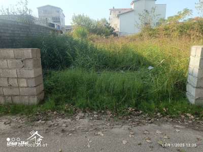 خرید 268 متر زمین مسکونی در محمودآباد