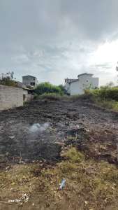 خرید 268 متر زمین مسکونی در محمودآباد