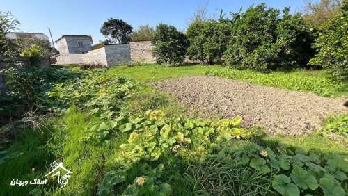 خرید 1000 متر زمین مسکونی در سرخرود