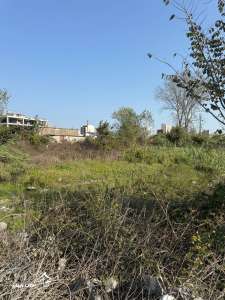 خرید زمین 200 متری در محمودآباد