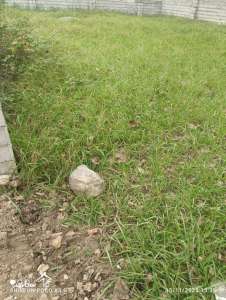 خرید زمین 250 متری در ایزدشهر