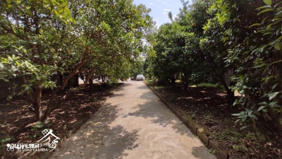 باغ 1050 متری در محمودآباد