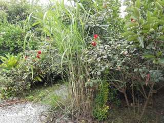 IMG_20210616_230337_893