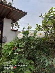 فروش خانه ویلایی در محمود اباد 225 متری
