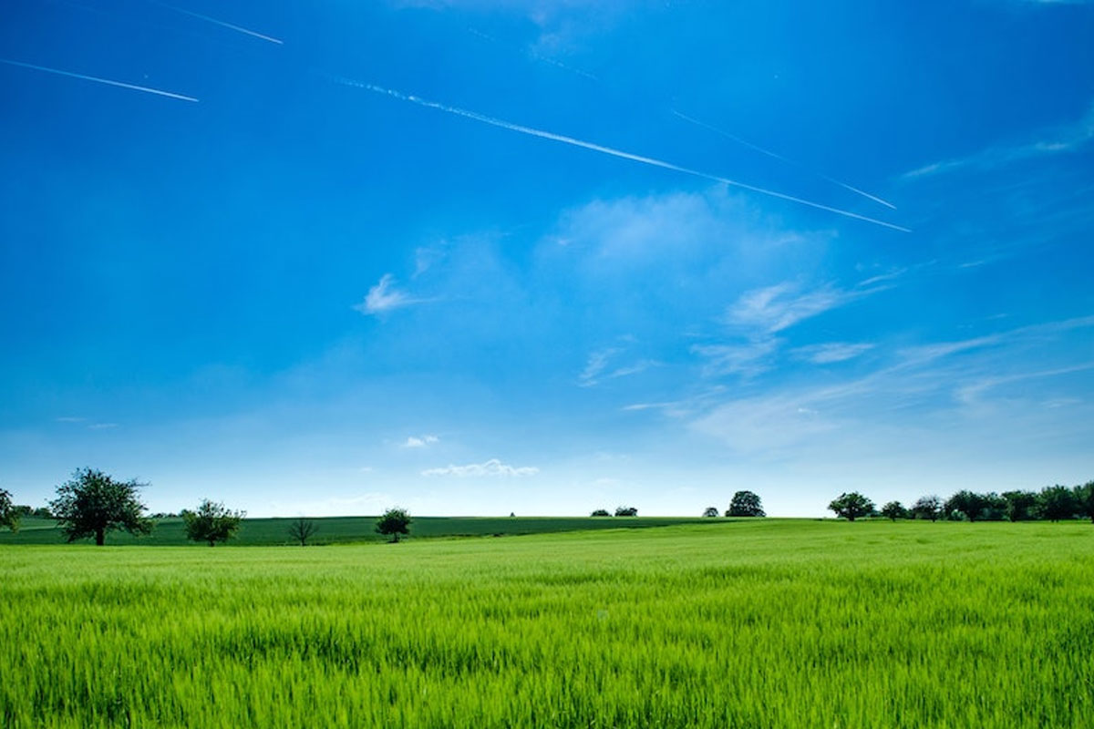 راهکارهای درآمد زایی از زمین راهکارهای درآمد زایی از زمین